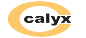 Calyx Chemicals and Pharmaceuticals Ltd